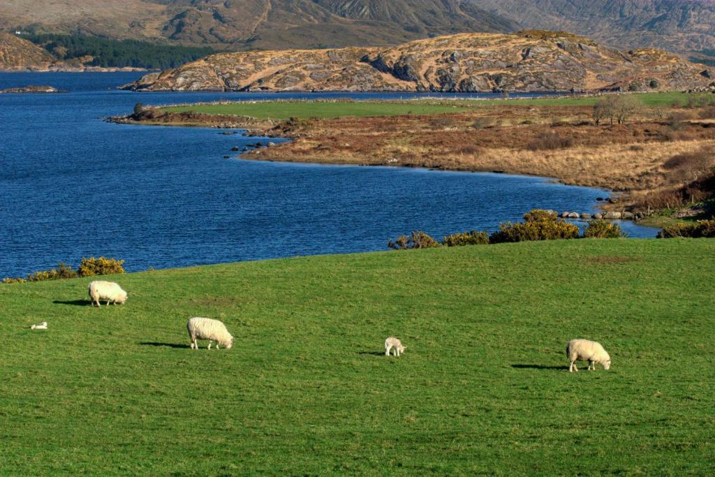 Lakelands Farm House Hotel Waterville Exterior foto
